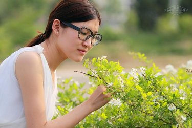 应用管理平台主界面展示
